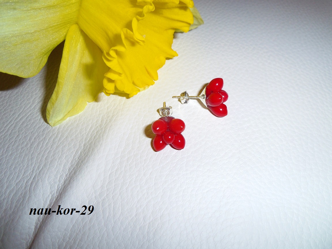 koral kvet n�u�nice