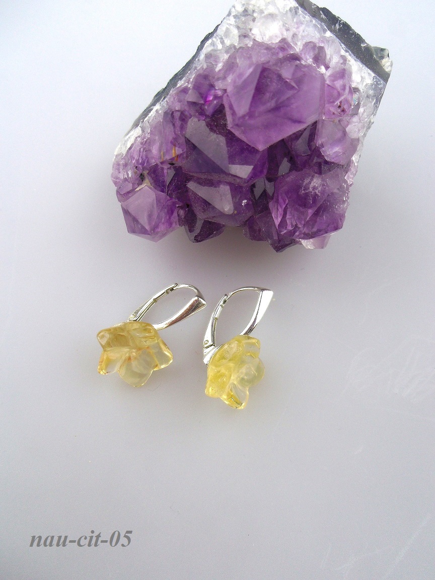 citr�n kvietky n�u�nice