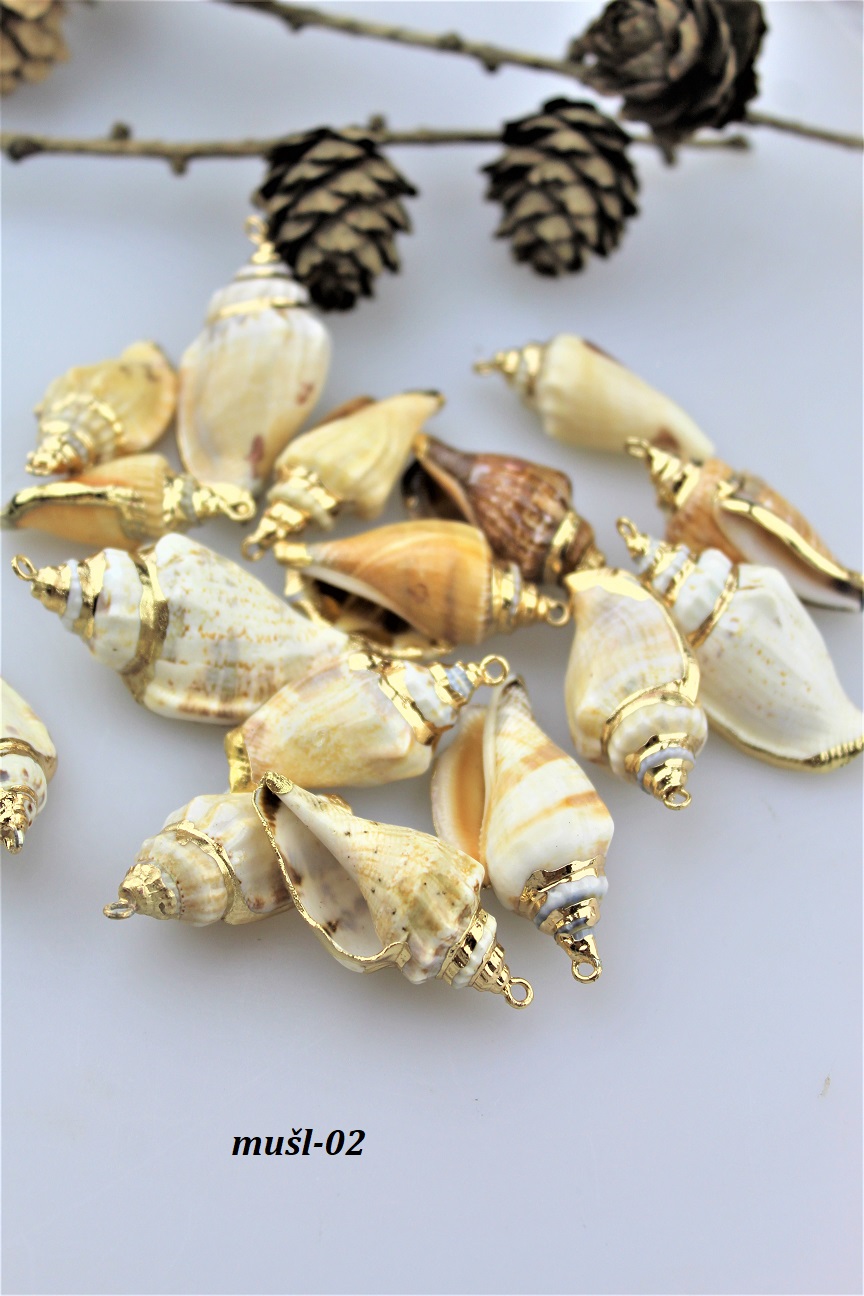 mušle morské cca 3-4cm mušle morské cca 3-4cm