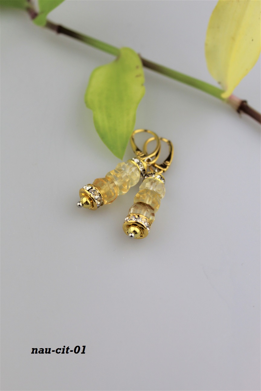 citr�n n�u�nice v striebre