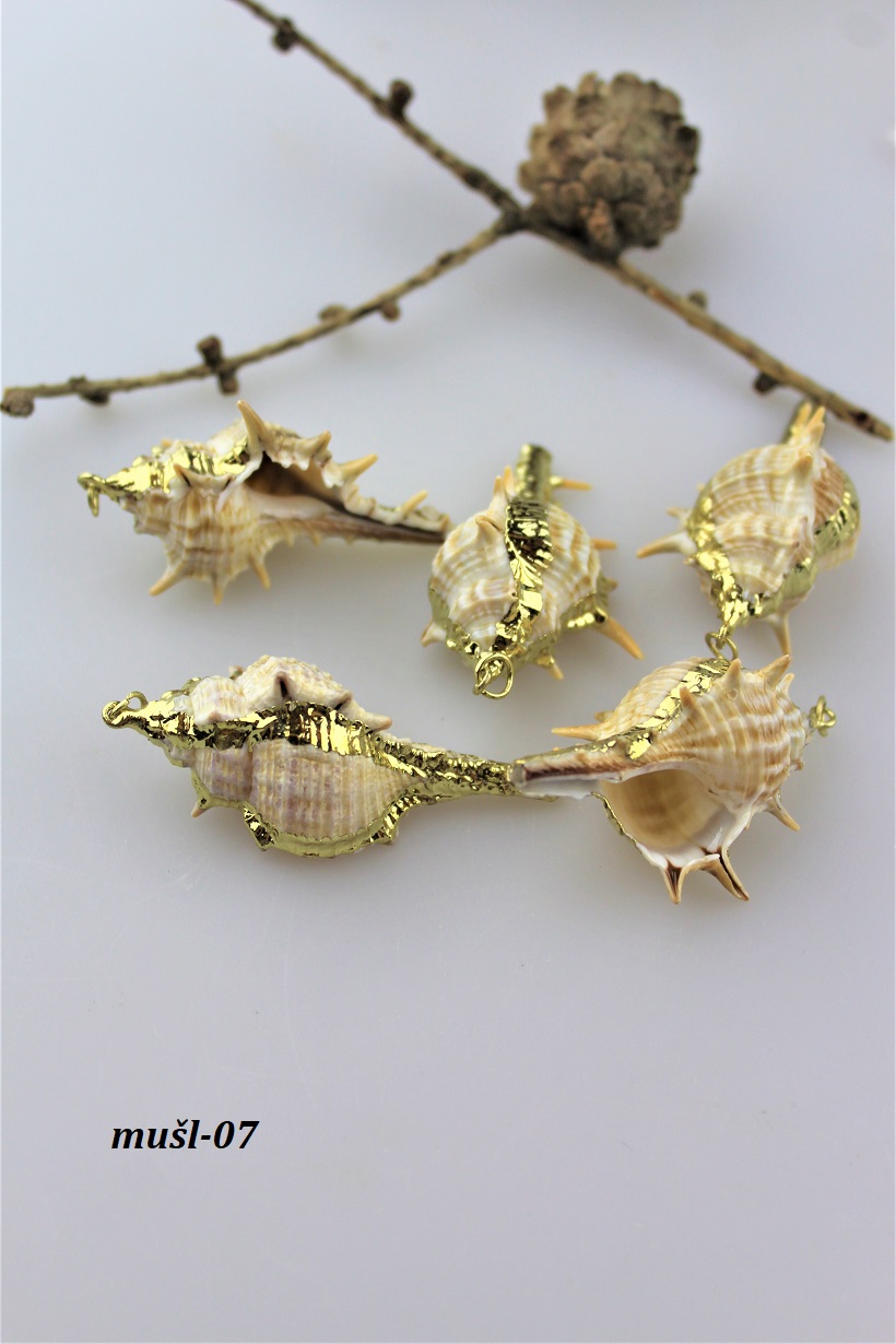 mu�la morsk� zl�ten� 5-6cm AKCIA