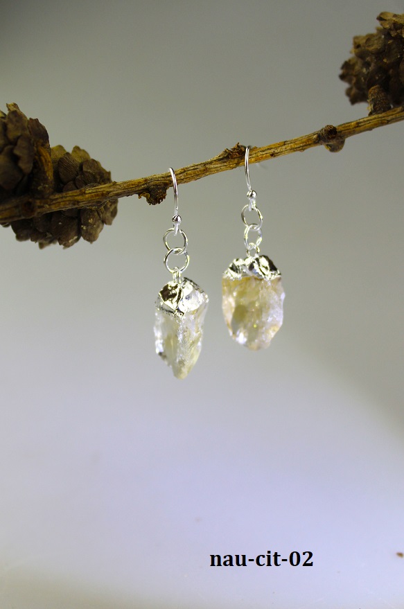 citr�n n�u�nice AKCIA!