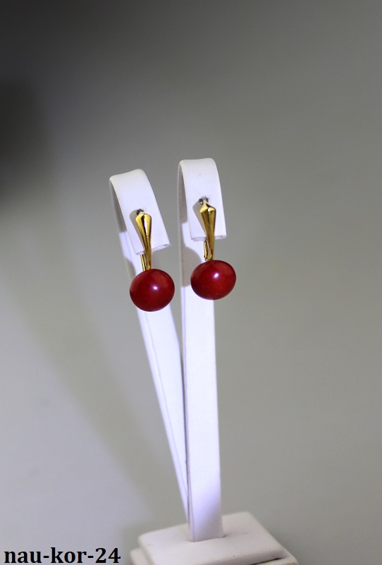 koralov� n�u�nice v striebre